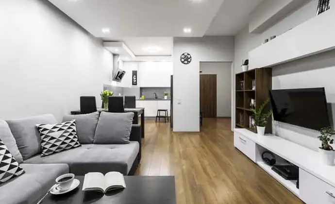 Maximizing Small Apartments Ideas